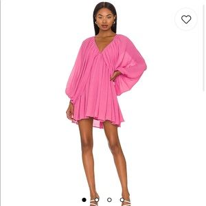 Nola Dress in Ibis Rose